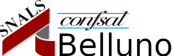 Sindacato Snals Confsal Belluno cell. 3284047616